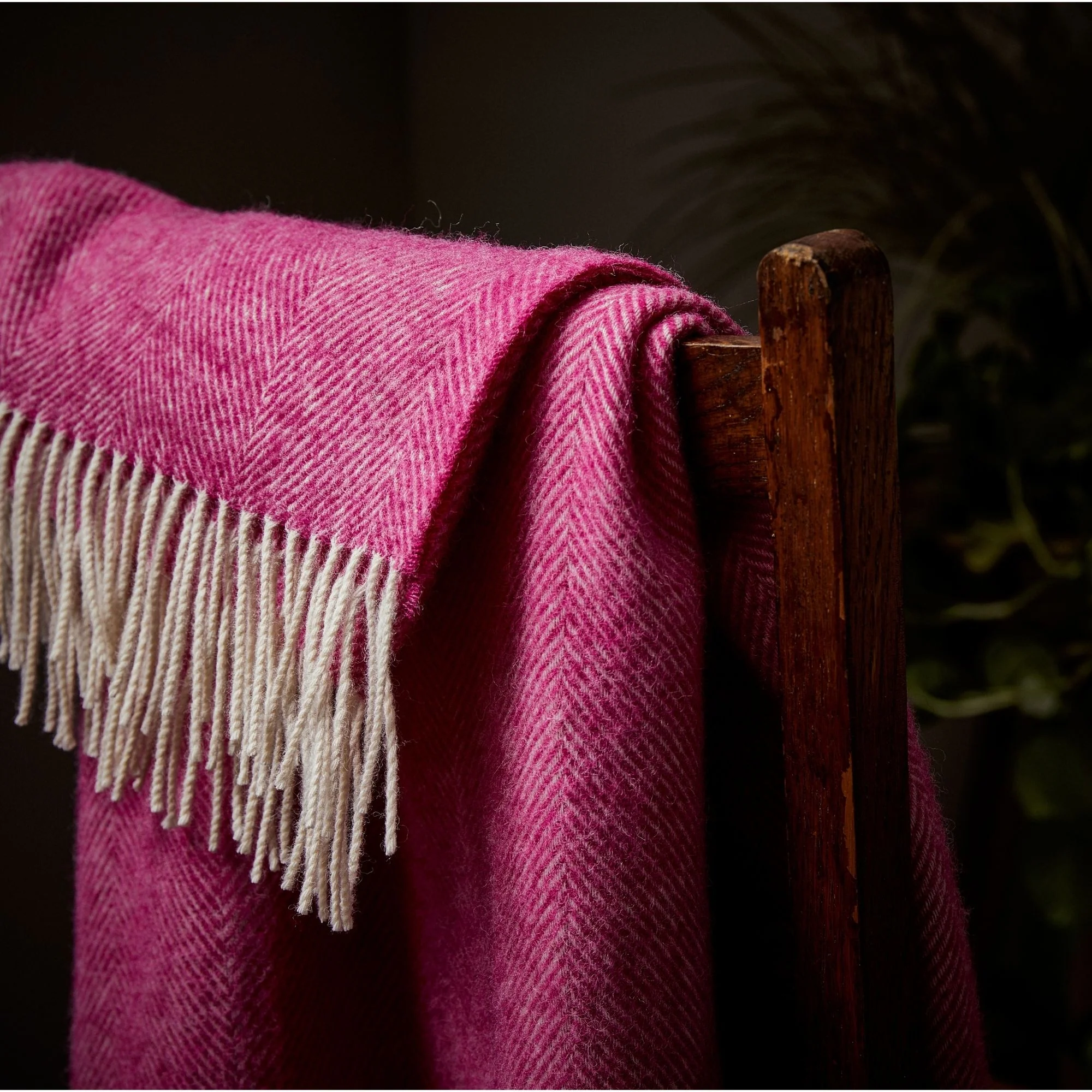 Herringbone Shetland Wool Throw - Fuchsia - Image 3